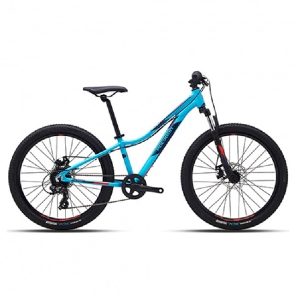 Polygon relic 24 mountain bike junior sale