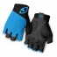 Giro Zero II Half Finger Glove Black/Blue